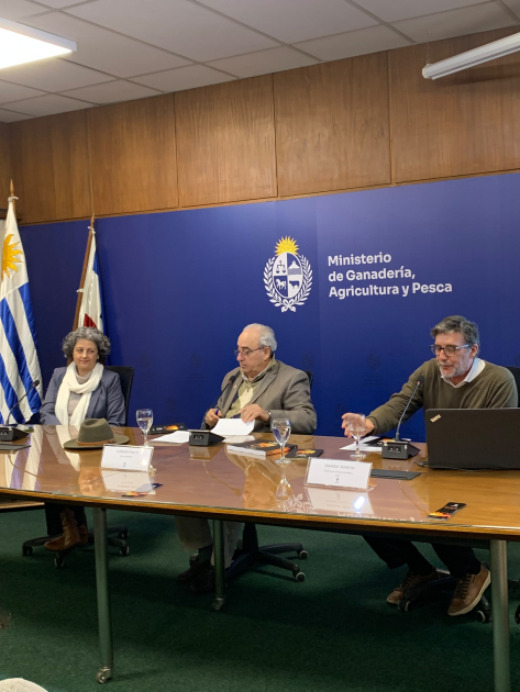 Anuario Estadístico DIEA 2026 Anuario Estadístico DIEA 2026