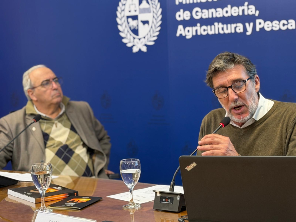 Anuario Estadístico DIEA 2026 Anuario Estadístico DIEA 2026