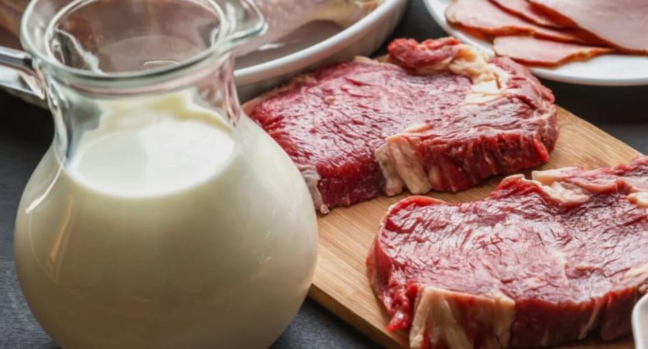Carne y leche Carne y leche
