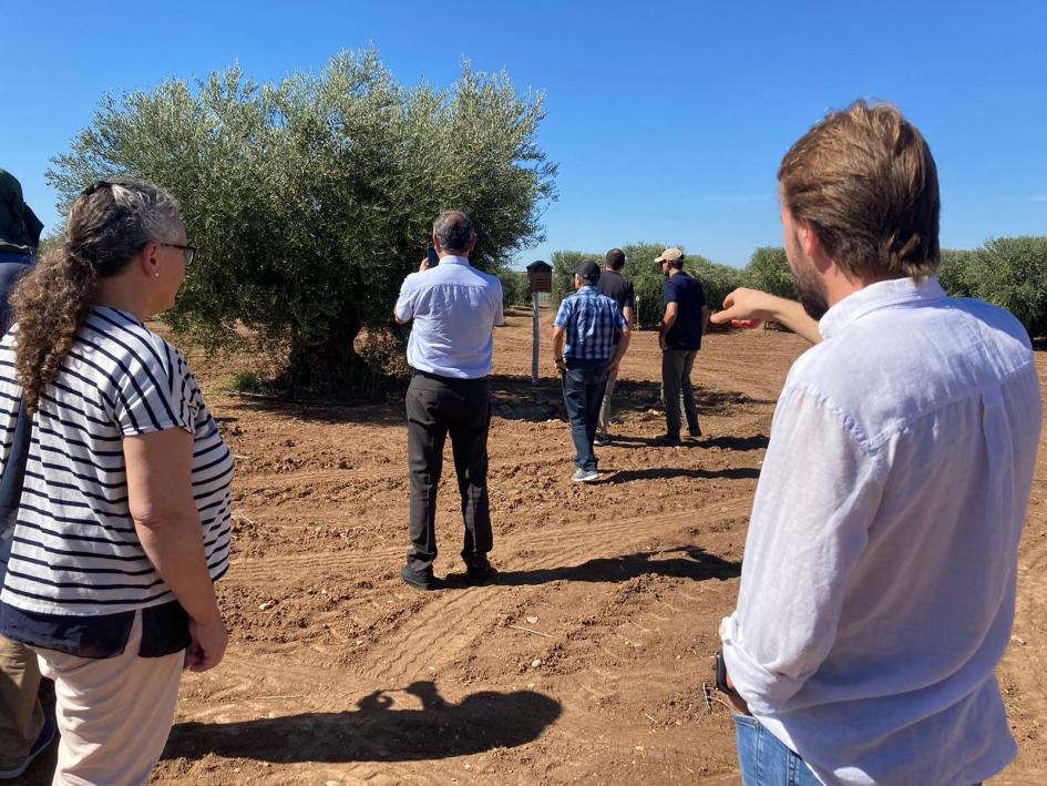  EXPERIENCIAS DE CERTIFICACIÓN AGROFORESTAL EN ESPAÑA