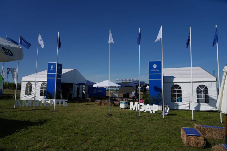 MGAP y Ambiente MGAP y Ambiente