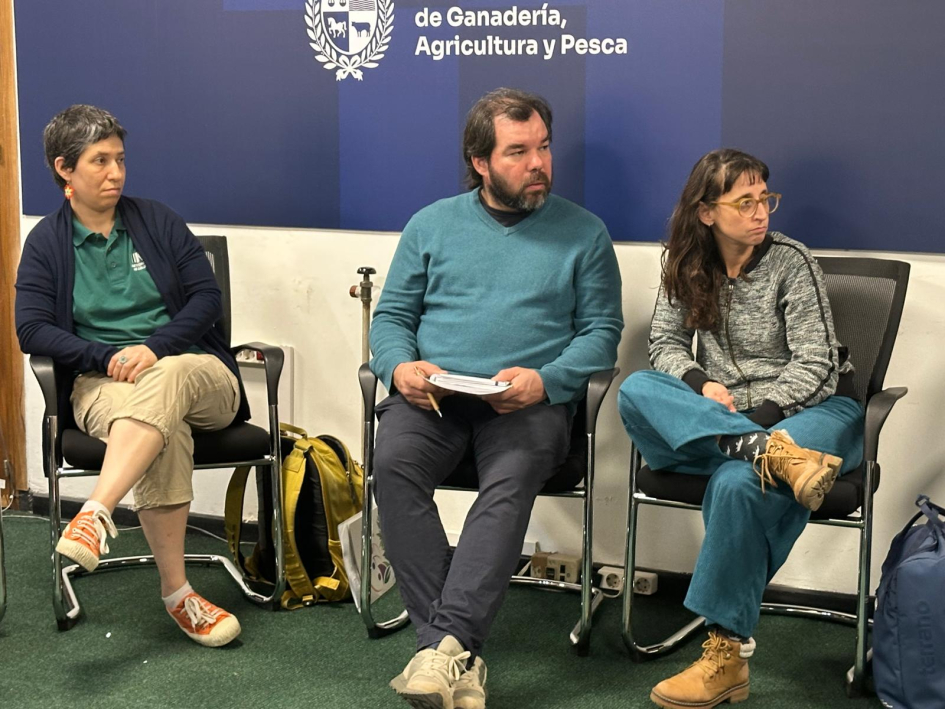 Talleres de sensibilización y prevención del racismo Talleres de sensibilización y prevención del racismo