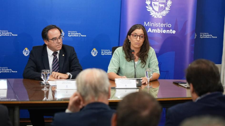 Conferencia de prensa