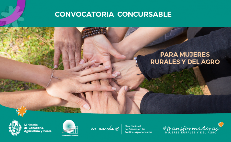 Convocatoria Transformadoras Convocatoria Transformadoras