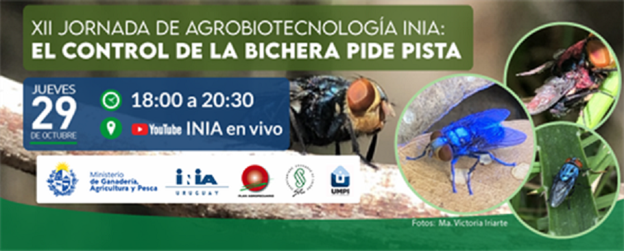 " bichera