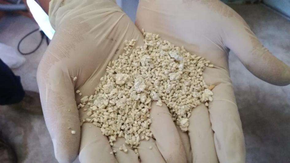 Benech recorrió establecimientos de Tacuarembó que aplican control biológico a través de bioinsumos Ministro Benech visitó Tacuarembó