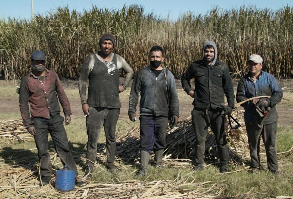 Zafra de Caña de azúcar en Bella Unión Zafra de Caña de azúcar en Bella Unión
