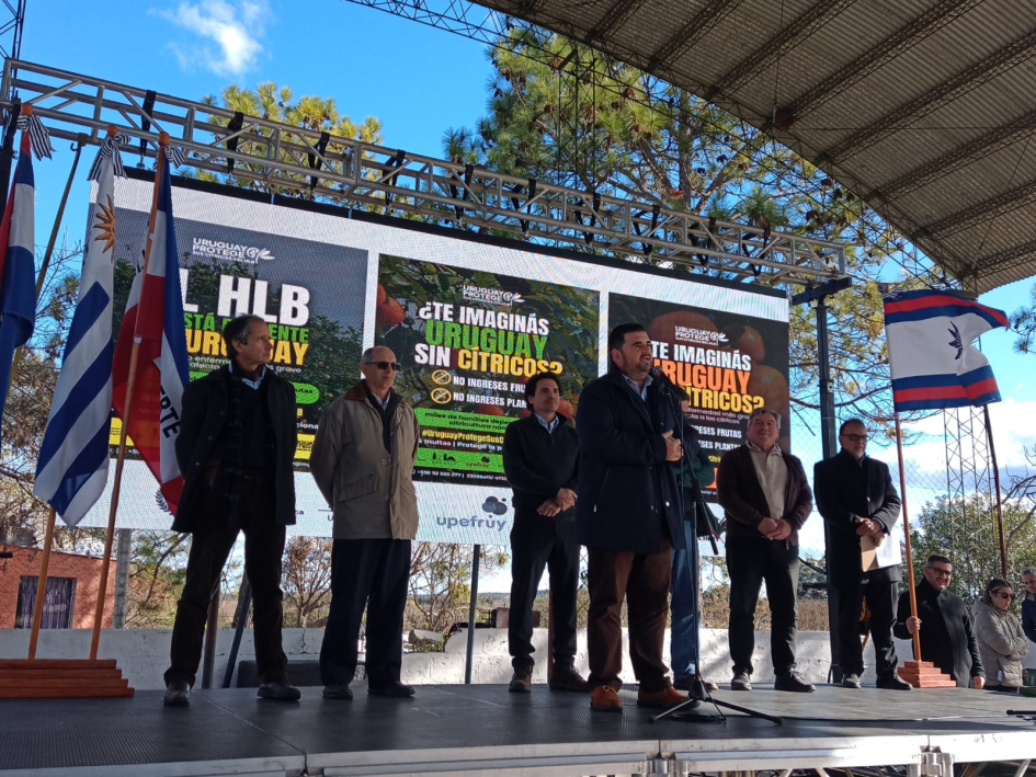 Lanzamiento de campaña