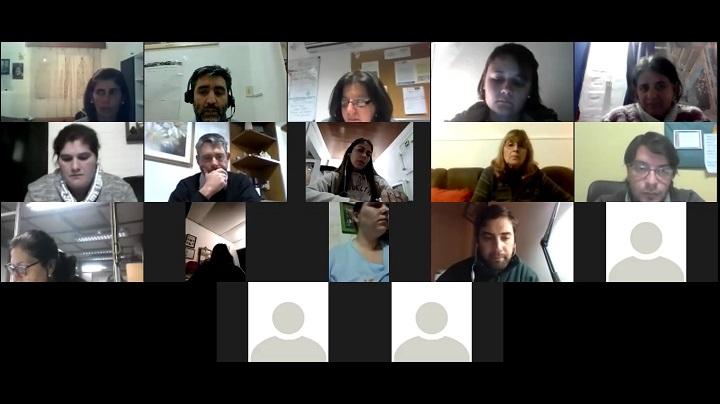 Captura de Pantalla de la reunión Captura de Pantalla de la reunión