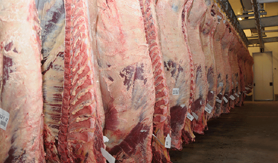 Carne bovina Carne bovina