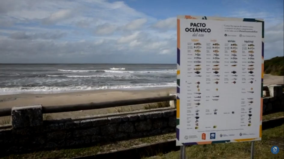 Cartelería con especies para la pesca Cartelería con especies para la pesca