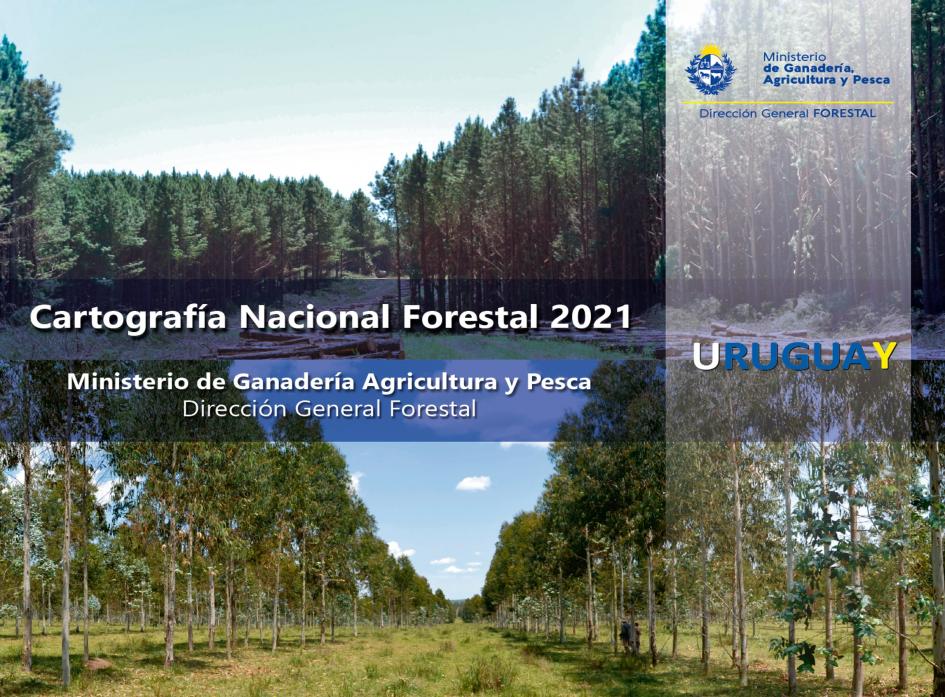 Cartografía Nacional Forestal 2021 Cartografía