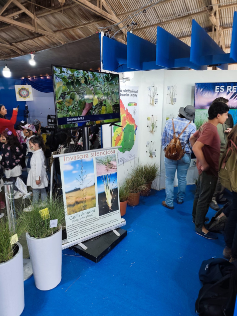Stand en Expo Salto
