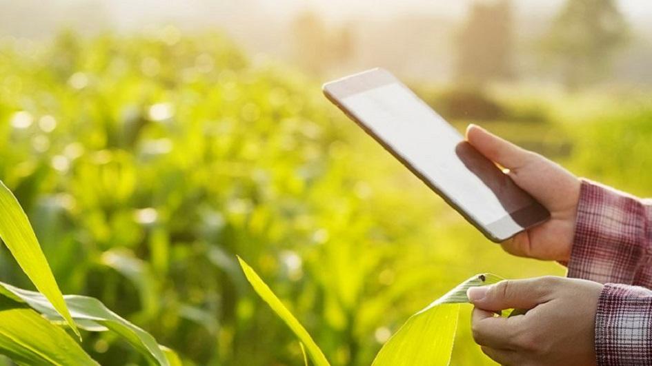Piloto del Censo Agropecuario Piloto del Censo Agropecuario