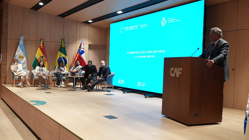 REAF Mercosur REAF Mercosur
