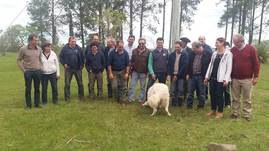 Proyecto de cría de perros Maremma en el marco de convocatoria de DGDR cierre proyecto perros Maremma
