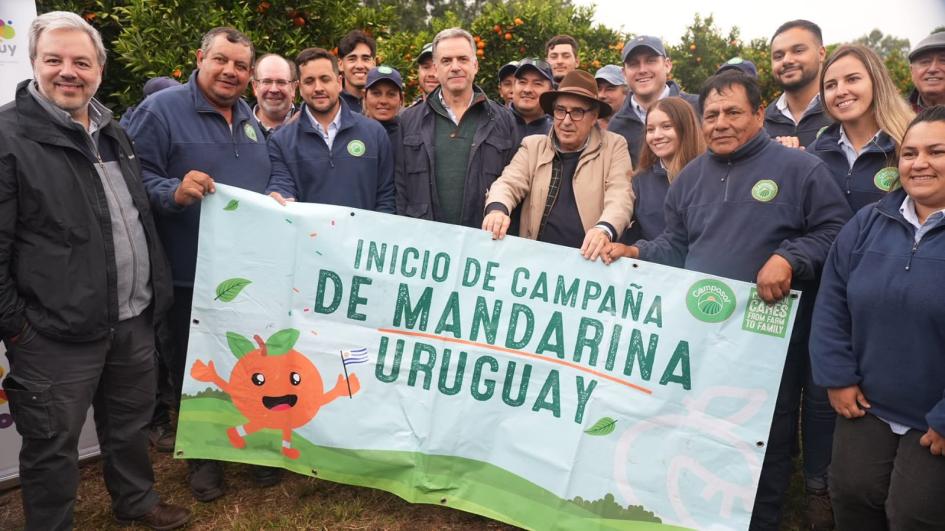 Zafra citrícola 2025 Zafra citrícola 2025