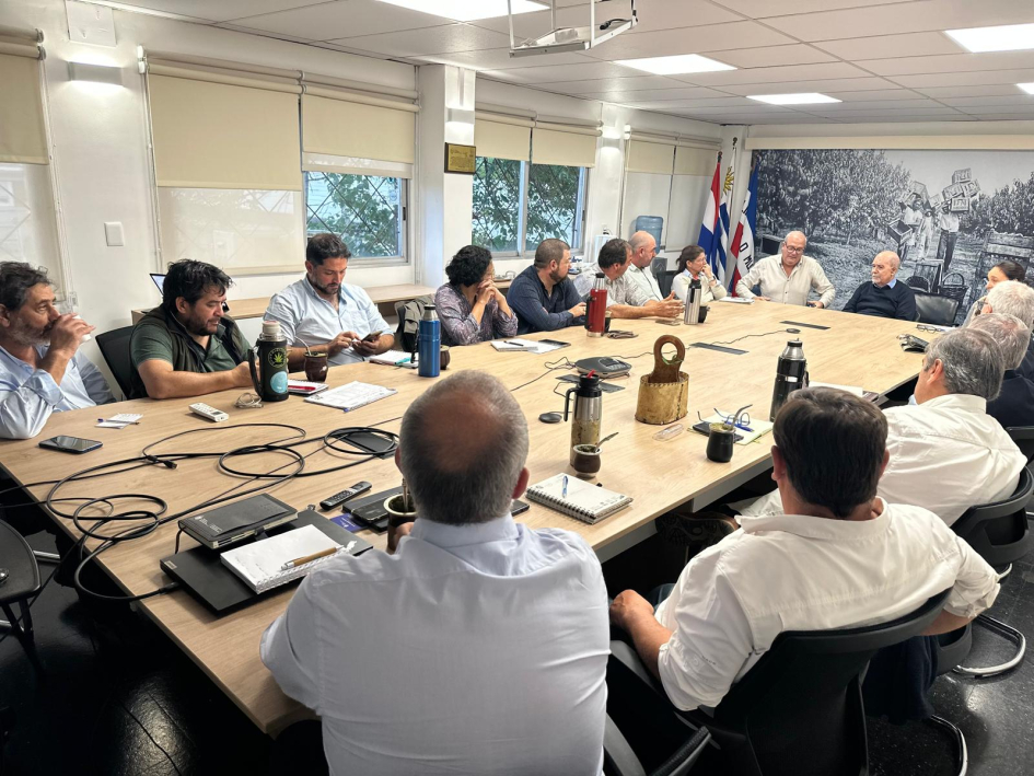 Análisis del Contrabando de productos