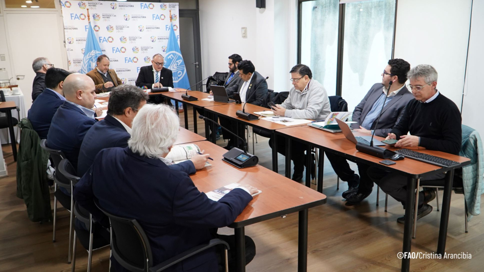 coordinadores nacionales REAF Mercosur