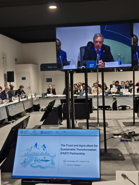 Ministro Mattos en COP29 Ministro Mattos en COP29