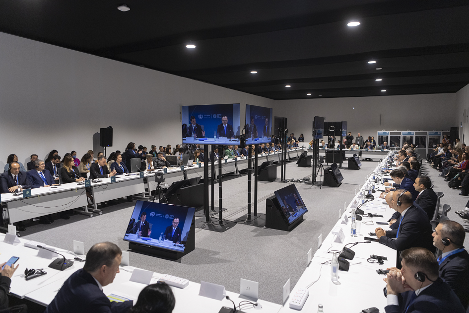 Reunión Cop29 Reunión Cop29