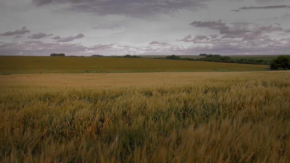 Imagen de campo Imagen de campo