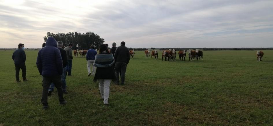 Recorrida por Río Negro y Soriano