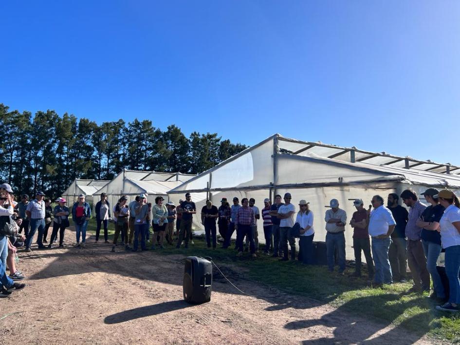 Programa Manejo Regional Hortícola y Fpta 383 