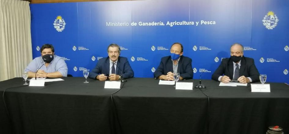 " Conferencia de prensa