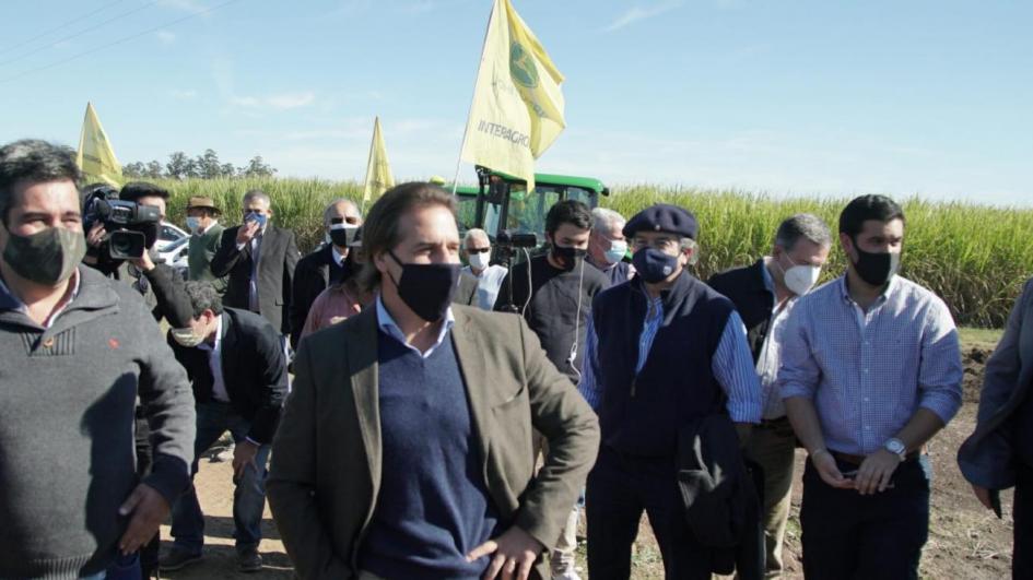 Zafra de Caña de azúcar en Bella Unión (Imagen de Presidencia)