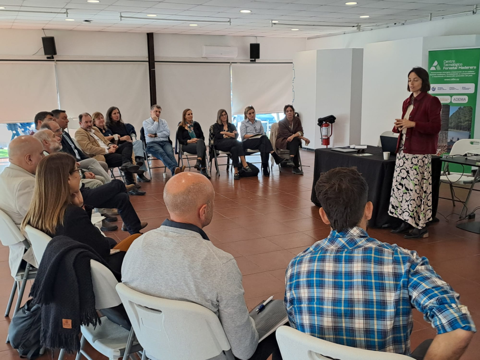 Vista general de la jornada sobre construcción en madera realizada en el LATU.