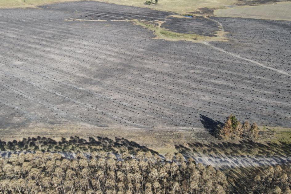 Zona de incendio forestal