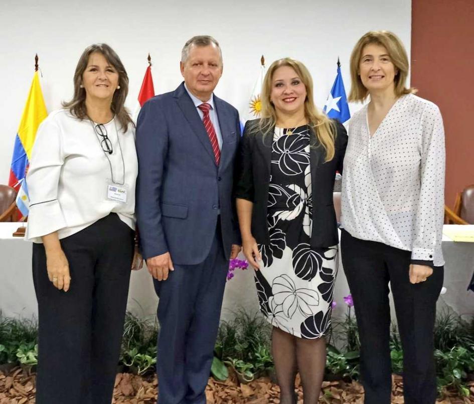 REAF Mercosur Ampliado REAF Mercosur Ampliado