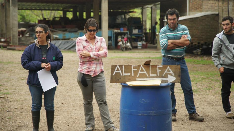 Productores lecheros de Salto validaron tecnologías Productores lecheros de Salto