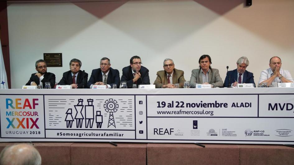 La XXIX REAF Mercosur tuvo la conmemoración de los diez años de DGDR Autoridades de XXIX REAF
