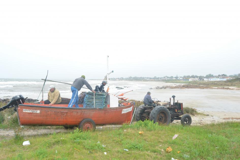 Grupo de pescadores artesanales de Piriápolis investiga un arte de pesca  alternativo para valorizar las capturas