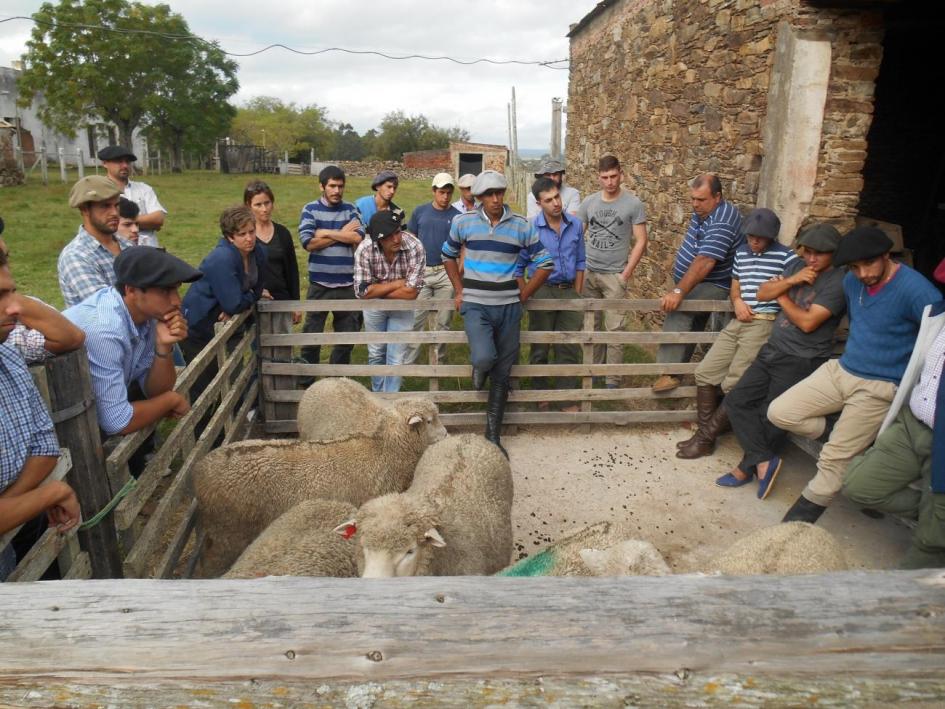 Productores en capacitación 