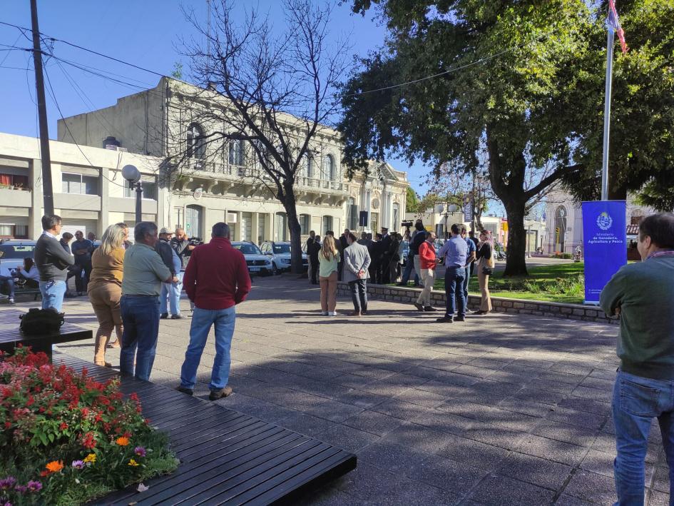 Flota nueva Flota nueva
