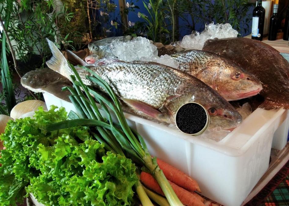 Pescados Pescados