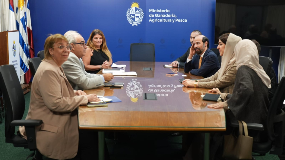 Delegación de los Emiratos Árabes Unidos Delegación de los Emiratos Árabes Unidos