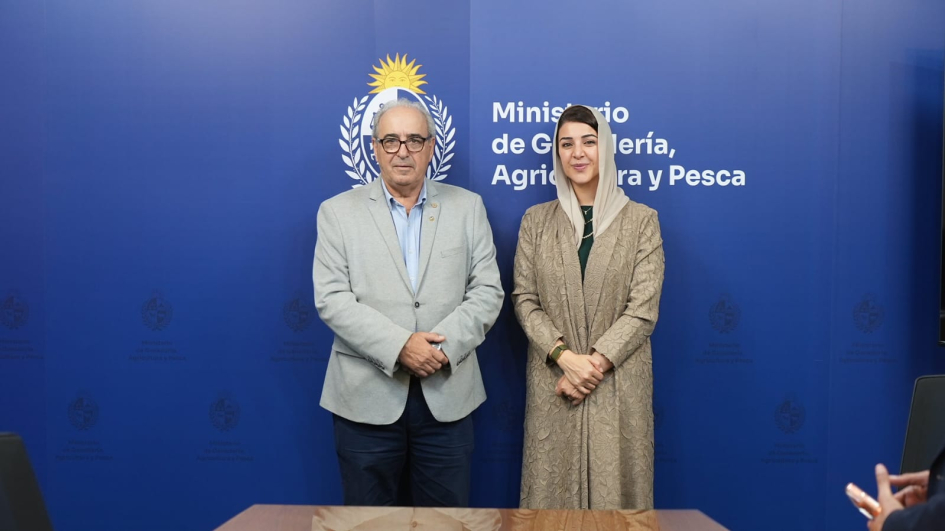 Delegación de los Emiratos Árabes Unidos Delegación de los Emiratos Árabes Unidos