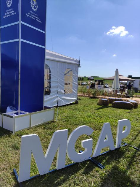 Estand Expoactiva Estand Expoactiva