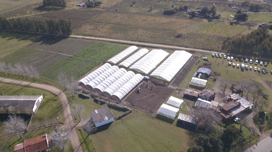 Estructuras metálicas en hortícultura bajo protección Estructuras metálicas en hortícultura bajo protección
