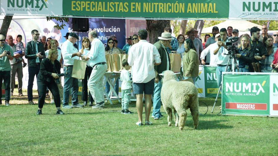 ExpoDurazno 2025 ExpoDurazno 2025