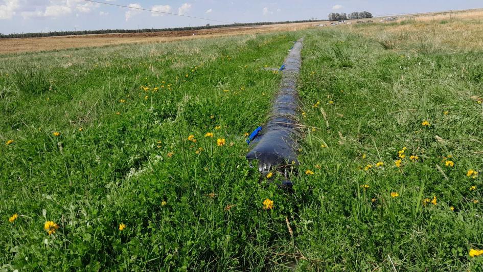 Se realizó la jornada produzca pasto y carne en años de “La niña”