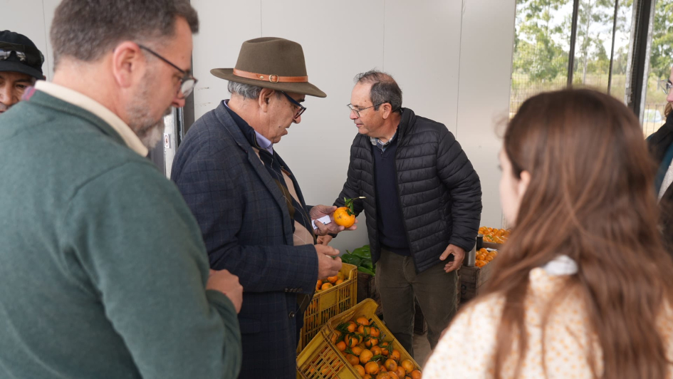 Inauguración de Central Hortícola Norte Inauguración de Central Hortícola Norte