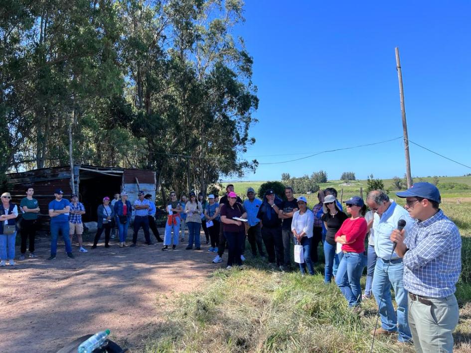 Programa Manejo Regional Hortícola y Fpta 383 