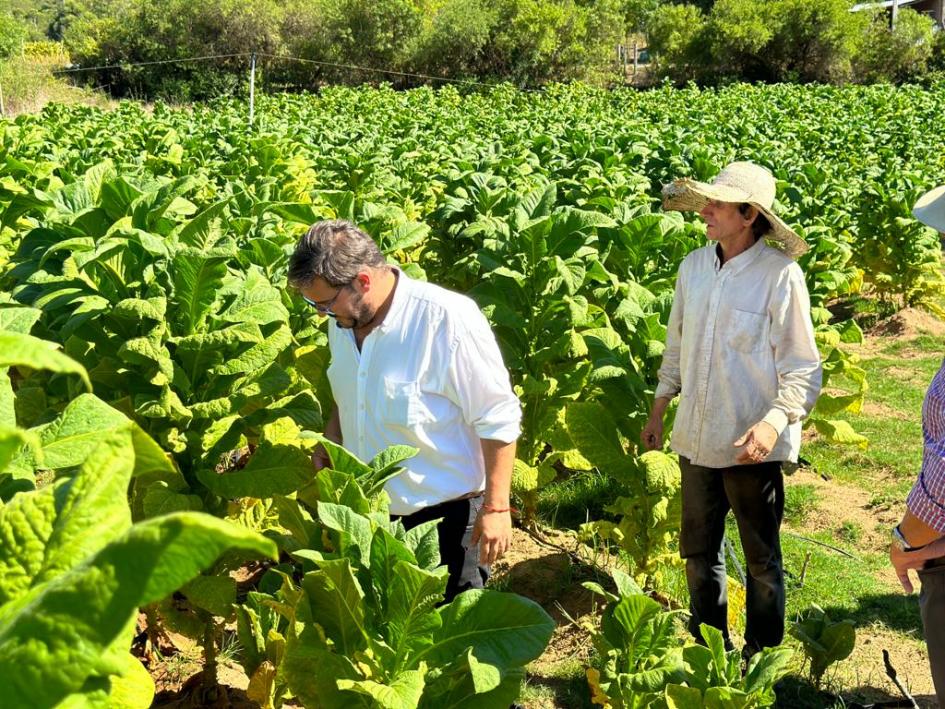 Recorrida por Artigas y Rivera Recorrida por Artigas y Rivera