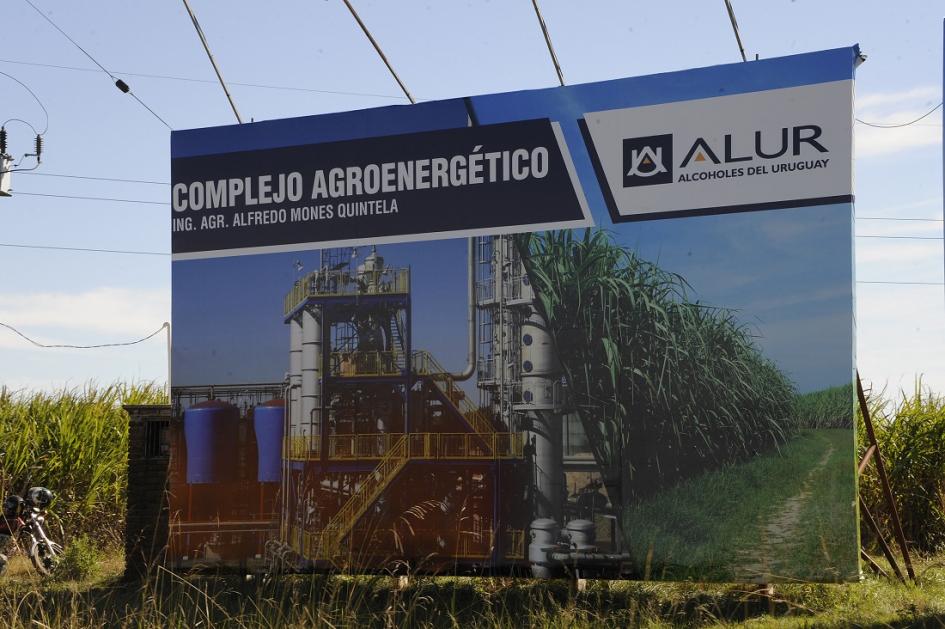 Zafra de Caña de azúcar en Bella Unión 