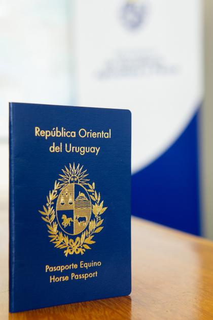  nuevo pasaporte único para caballos